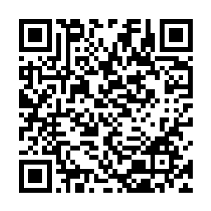 裴修远刚才怔住是因为他潜意识里竟然忘记了这个孩子二维码生成