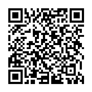 让他们帮我们的年底演唱会扎扎实实做一次全民免费宣传二维码生成