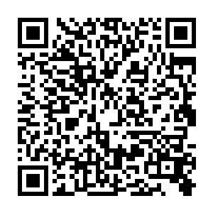 让张铁印象深刻的是围绕着这座城市的那些动辄就有四五十米高的恐怖仙人掌二维码生成