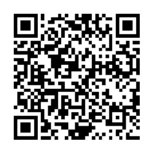 让查理兹清新慵懒的出众气质得到了许多电影公司的喜爱二维码生成