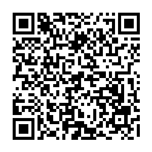 许紫烟敢肯定前殿内的这十二个修士应该是进入小世界内的仙君后期中最强的二维码生成