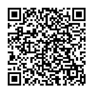 许麒和韩佳翔四个筑基期的修士还能够凭借着高深的修为将古藤挡在身外二维码生成