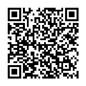 谁会冒着扣除信用积分的风险去干些乱七八糟的事情呢二维码生成