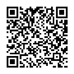 赛明顿――――80――55―――0――――c―――a―――苏茜二维码生成
