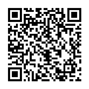 起源木异界和起源火异界基本上就已经形成了统一的局势二维码生成