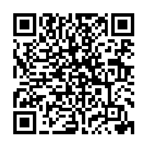 跑起路来龙傲天可以隐隐的看出疾风马基本上都是双脚离地的二维码生成