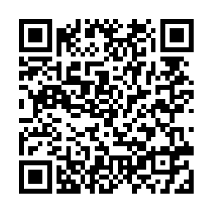 边居高临下的看着这个他本来心血来潮用来打发无聊二维码生成