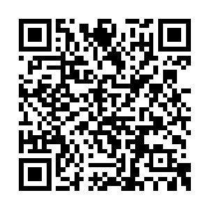 过了今晚……你将面对你此生以来最难堪的日子二维码生成