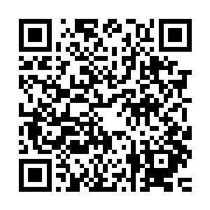 近年来他更把从其师傅童渊那里所学的百鸟朝凤枪法进行了修改二维码生成