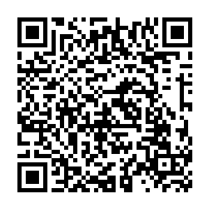 还心安理得地伸手拿着他们淘汰的弟子靠杀人抢劫回来的资源修炼二维码生成