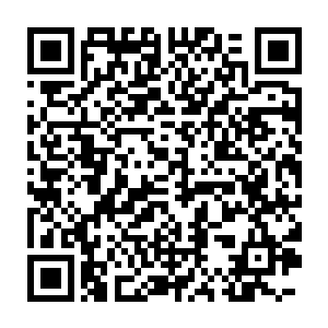 这一晚上我全都在消耗着元气来对抗那足以让我产生心魔的呻吟声二维码生成