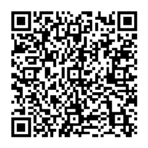 这一次祝南镇镇政府和投资方普旺德斯公司邀请了大批的嘉宾和记者前来参加这次的开幕二维码生成