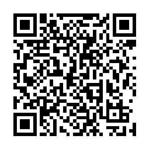 这一点从遍布在建筑物周围以及内部的昆虫尸骸就可以看出二维码生成