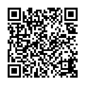 这两个东来洞最顶级的金牌打手他在能带着的情况下不会放走二维码生成