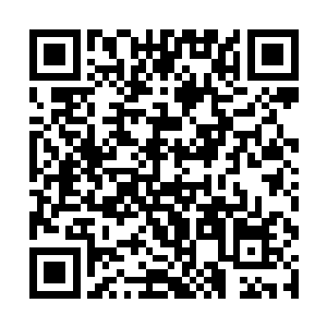 这个演武场可以根据参与者所灌入玉简的记忆和意识二维码生成