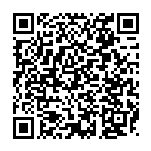 这个驻颜丹我们拍卖会一定会尽最大的努力拍出一个让你满意的价格二维码生成