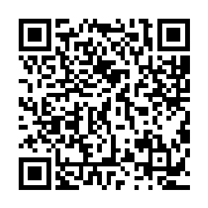 这也是为什么傲家上下都十分的关注傲邪云的一个重要原因二维码生成