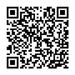 这也算是在一定程度上弥补了瘟疫尸虫移动速度缓慢的巨大缺点二维码生成