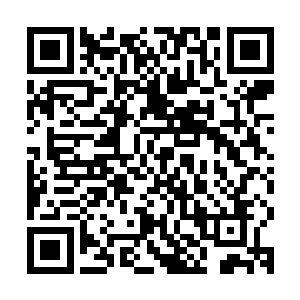 这也让他能够调动更多的力量强化庇护所世界的结界和世界屏障二维码生成