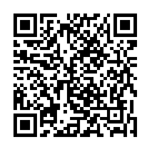 这也让原本打定主意要先除掉金佛和愤怒的他改变了主意二维码生成