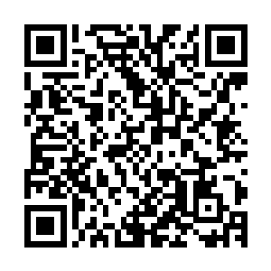 这些东西基本上看这战队两三次的比赛就能差不多摸索出来了二维码生成