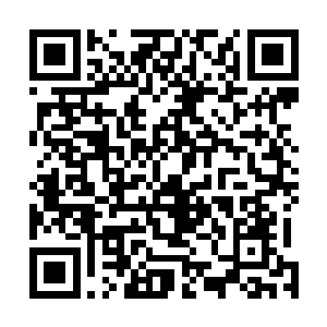 这些家伙既然能够在这么短的时间内拥有这么强大的力量二维码生成