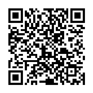 这些年杨开也曾因为各种各样的任务从前哨大营返回碧落关二维码生成