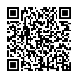 这会王爷正在跟睿哥儿三兄弟讲他攻打江南时神勇的事迹呢二维码生成