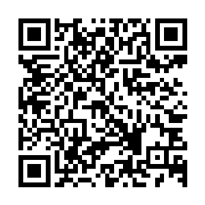 这才深刻的体会到3s级的强者与他们之间存在怎样巨大的差距二维码生成