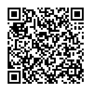 这样的孩子若只是跟你一样学些拳法和马上功夫就实在是太可惜了二维码生成