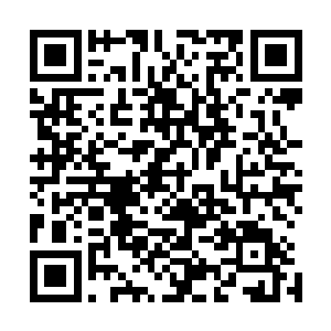 这次闭关对于星辰冒险团的修士来说并没有取得太大的成绩二维码生成