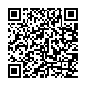 这款系统的性能完全能将他们引以为豪的通用wp手机系统吊打二维码生成