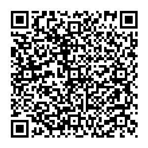 这老道士说出来的关于他爷爷秦嗣源的一些讯息……似乎当年他爷爷的修为也已经达到了一个极为骇人的程度二维码生成