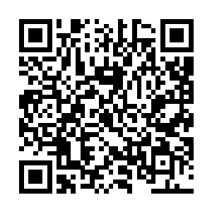 这里面也可能会有皇室对政府当面的不满等诸多的原因二维码生成