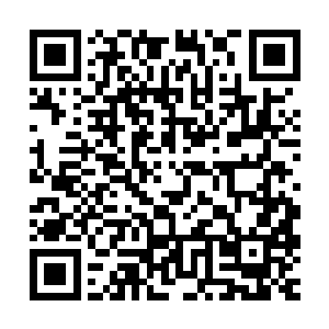 进了菜园放下了小丫头之后两小人儿又凑到了一起打打闹闹起来二维码生成