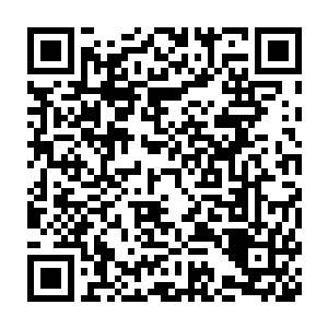 连他原本凝实的法相也开始因为力量过度透支而变得有些虚幻了起来二维码生成