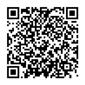 邀请了国内业界颇为有名的古建筑维护修缮的公司来进行实地考察二维码生成