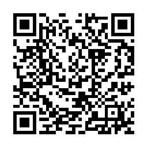 那些黑色甲虫便几乎被那些数量远胜于它们的五行虫给笼罩起来二维码生成