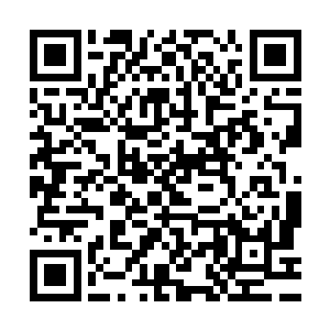 那六大部落的代表和队伍是在17日的这一天一起来到艾斯基尔城二维码生成