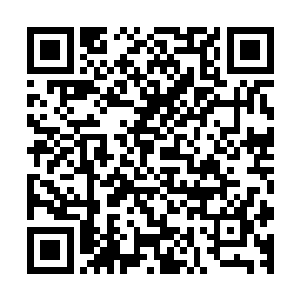 那原本能够窥探八十一号阁楼的各方纯阳境大能都被逼了回去二维码生成