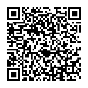 那断掉的黑影竟然是一截布满了粘稠唾液和散发出腥臭气息的蜷曲长舌二维码生成