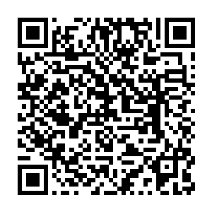 那时候世子殿下便已经是狼藉声名在外的北凉头一号无药可救大纨绔二维码生成