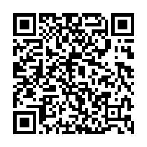 那细腻的做工将办公室内的光线折shè出绚烂的光泽二维码生成