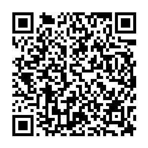 那说的也只是在电竞环境极其残酷并且有着条条框框束缚的韩国本土选手而已二维码生成