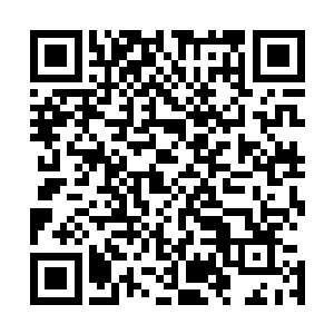 那部仍然与老人连接的重症监护仪突然间发出了一串响声来二维码生成