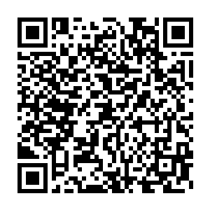 那阵外的十几个人目瞪口呆地望着原本能够看到的那十八棵古树消失了二维码生成