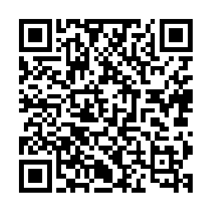 都是我们图书馆高价收购的从人类城市遗迹之中带出来的珍本二维码生成