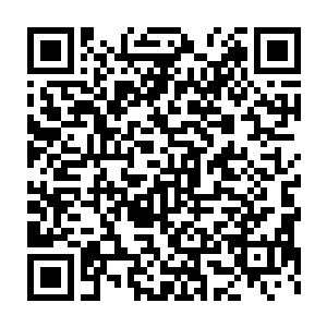 采用的避税手段顶多是有那么一点点灰色……虚报一些拍摄成本什么的二维码生成