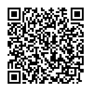 野马在日本的合作公司就开始把这些鱼其中的一大部分准备发回美国二维码生成