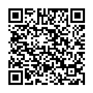 金甲蛮虫和吞云兽攻击被绝情网束缚的赤电独角寒冰兽二维码生成